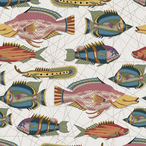 Tropical Fishes of the East Indies