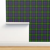 Gallowater / Gala Water 1770  tartan, 6", Wilson's of Bannockburn