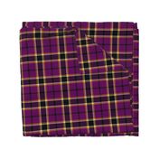 Gingles tartan, 6"