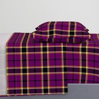 Gingles tartan, 6"