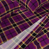 Gingles tartan, 6"