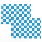 Oktoberfest Bavarian Blue and White Checkerboard