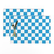 Oktoberfest Bavarian Blue and White Checkerboard