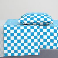 Oktoberfest Bavarian Blue and White Checkerboard