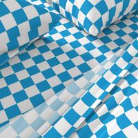 Oktoberfest Bavarian Blue and White Checkerboard
