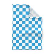 Oktoberfest Bavarian Blue and White Checkerboard