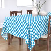 Oktoberfest Bavarian Blue and White Checkerboard