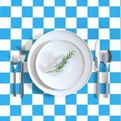 Oktoberfest Bavarian Blue and White Checkerboard