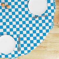 Oktoberfest Bavarian Blue and White Checkerboard