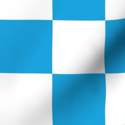 Oktoberfest Bavarian Large Blue and White Checkerboard