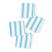 Oktoberfest Bavarian Blue and White Mattress Ticking