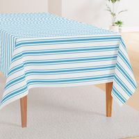 Oktoberfest Bavarian Blue and White Large Mattress Ticking Stripes