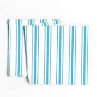 Oktoberfest Bavarian Blue and White Large Mattress Ticking Stripes