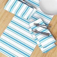 Oktoberfest Bavarian Blue and White Large Mattress Ticking Stripes