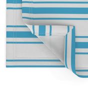 Oktoberfest Bavarian Blue and White Large Mattress Ticking Stripes