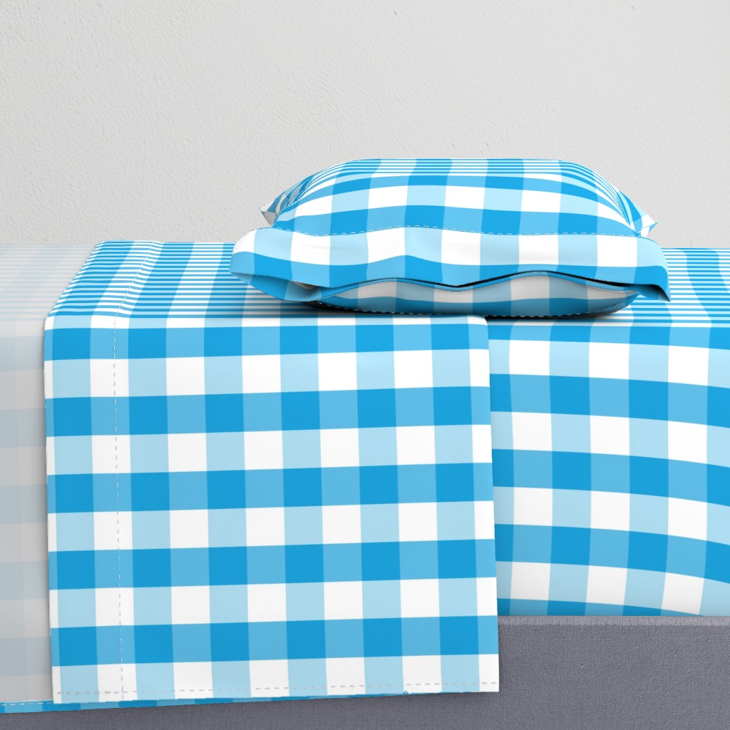 Oktoberfest Bavarian Blue and White Large Gingham Check