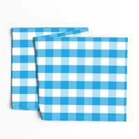 Oktoberfest Bavarian Blue and White Large Gingham Check