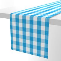 Oktoberfest Bavarian Blue and White Large Gingham Check