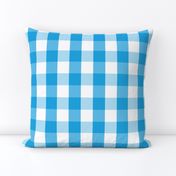 Oktoberfest Bavarian Blue and White Large Gingham Check