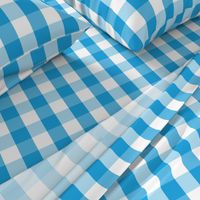 Oktoberfest Bavarian Blue and White Large Gingham Check