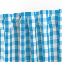 Oktoberfest Bavarian Blue and White Gingham Check