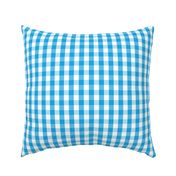 Oktoberfest Bavarian Blue and White Gingham Check