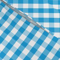 Oktoberfest Bavarian Blue and White Gingham Check