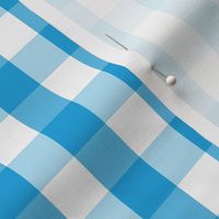 Oktoberfest Bavarian Blue and White Gingham Check