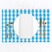 Oktoberfest Bavarian Blue and White Gingham Check