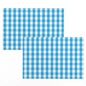 Oktoberfest Bavarian Blue and White Gingham Check