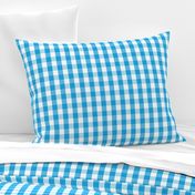 Oktoberfest Bavarian Blue and White Gingham Check