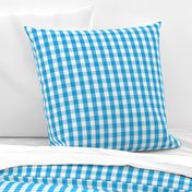 Oktoberfest Bavarian Blue and White Gingham Check