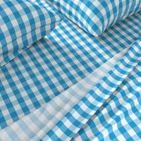 Oktoberfest Bavarian Blue and White Gingham Check