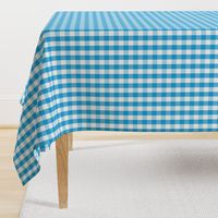 Oktoberfest Bavarian Blue and White Gingham Check