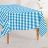 Oktoberfest Bavarian Blue and White Gingham Check