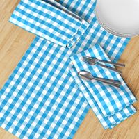 Oktoberfest Bavarian Blue and White Gingham Check