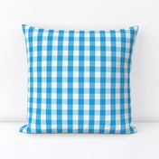 Oktoberfest Bavarian Blue and White Gingham Check