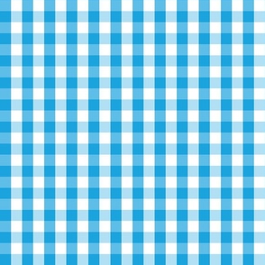 Oktoberfest Bavarian Blue and White Gingham Check