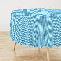 Oktoberfest Bavarian Blue and White Small Gingham Check