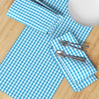 Oktoberfest Bavarian Blue and White Small Gingham Check