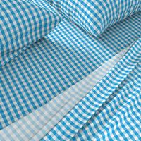 Oktoberfest Bavarian Blue and White Small Gingham Check