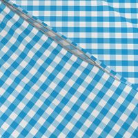 Oktoberfest Bavarian Blue and White Small Gingham Check