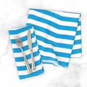 Oktoberfest Bavarian Blue and White Chevron Stripes