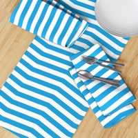 Oktoberfest Bavarian Blue and White Chevron Stripes