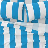 Oktoberfest Bavarian Blue and White Large Cabana Stripes