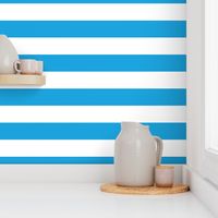 Oktoberfest Bavarian Blue and White Large Cabana Stripes