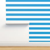 Oktoberfest Bavarian Blue and White Large Cabana Stripes