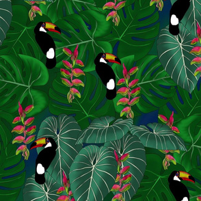 TOUCANS ON EMERALD