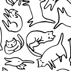 sketchy funny cats pattern