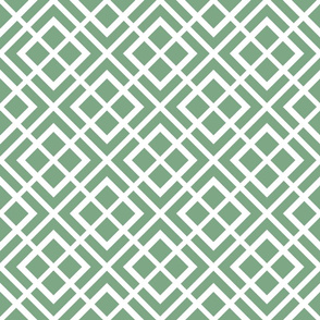 Lines diagonal check jade green white